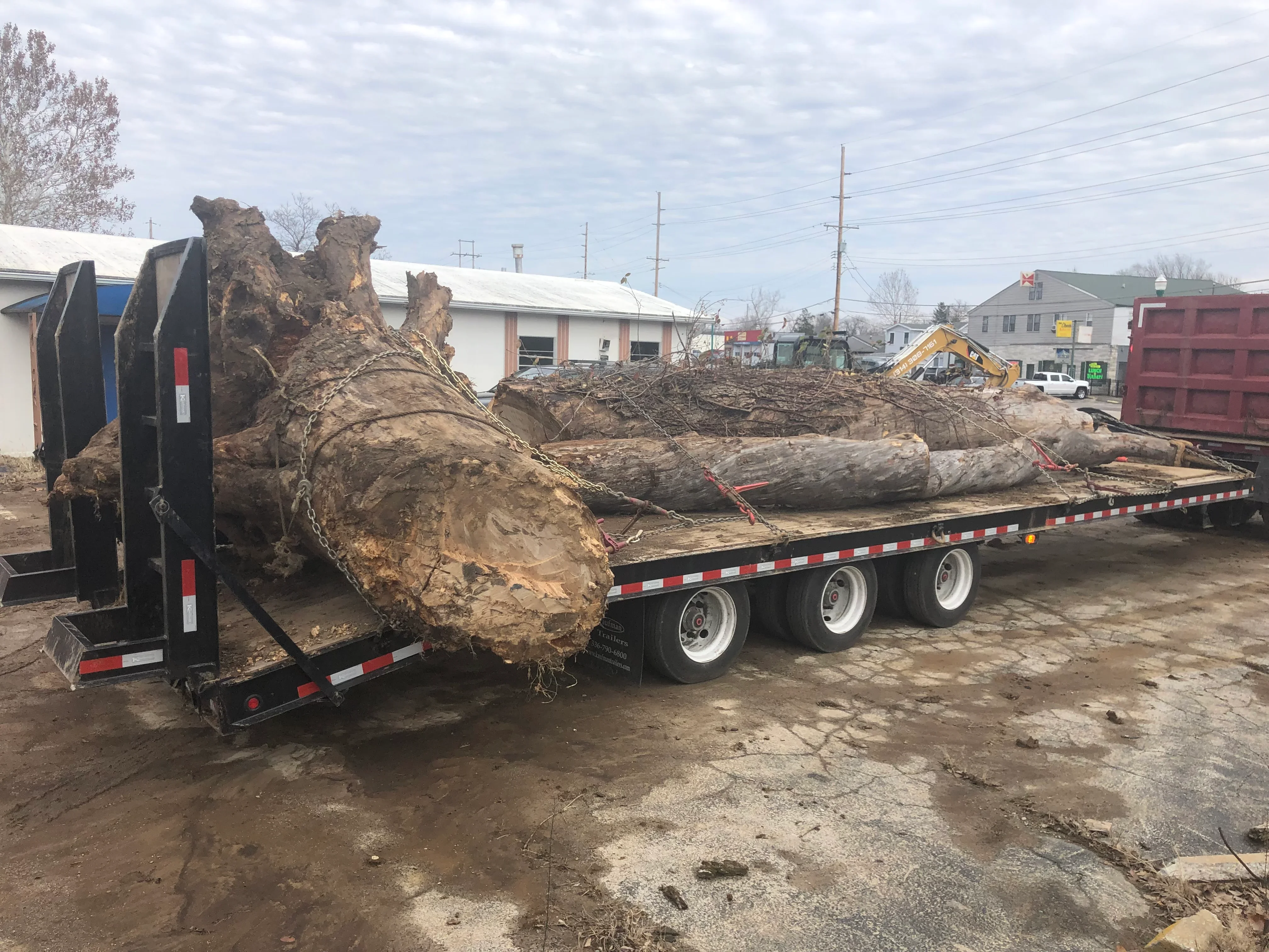 Large tree stump with roots loaded on flatbed trailer with hydraulic lift gate