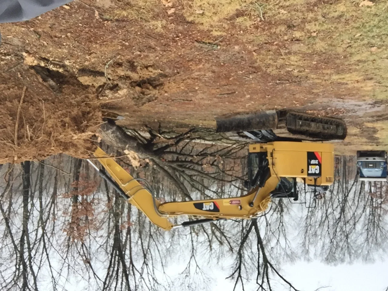 Yellow excavator with grapple removing large felled tree and clearing debris from earthen site